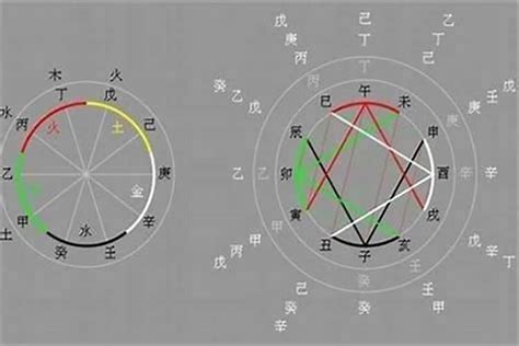 乙巳日主|乙巳日柱分析 乙巳日柱出生时辰详解